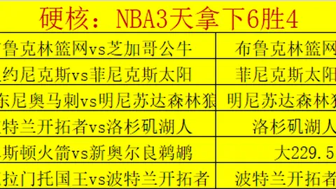 斯盧茨基神勇助阵，花3-0完胜泰山